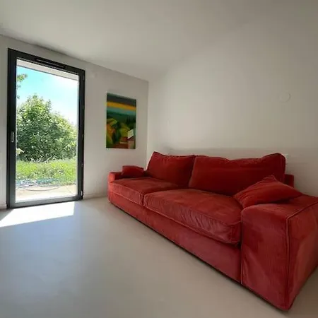 Moderne Avec Piscine Sainte-Foy-lès-Lyon